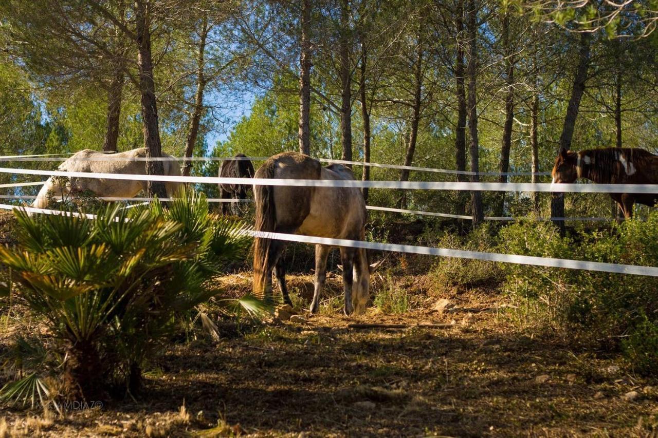 Masia Pou De La Vinya Sitges Esterno foto