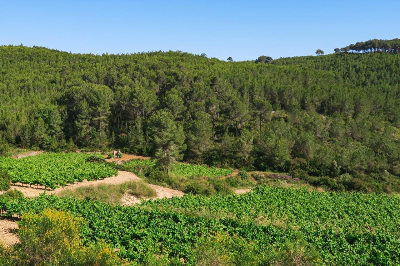 Masia Pou De La Vinya Sitges Esterno foto