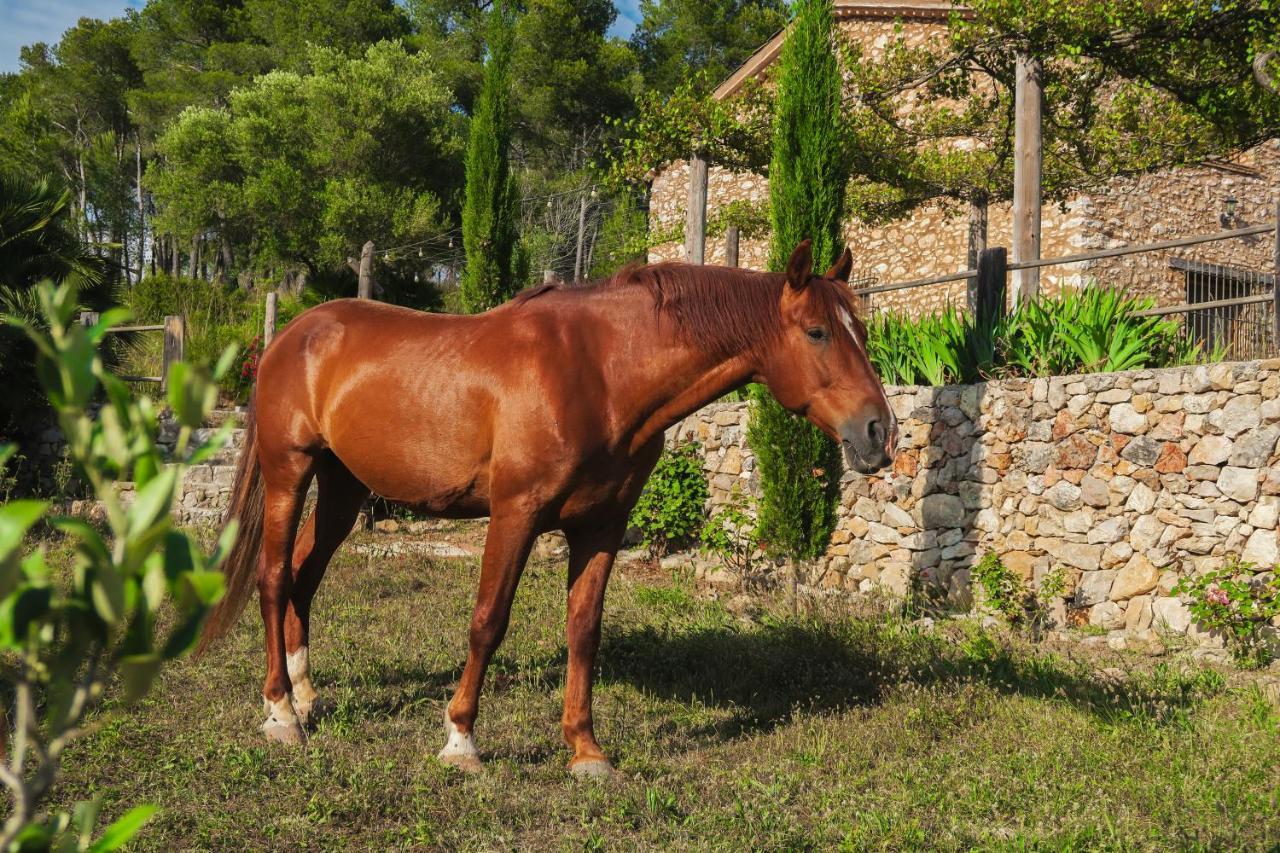 Masia Pou De La Vinya Sitges Esterno foto